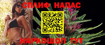 Альфа ПВП Славгород