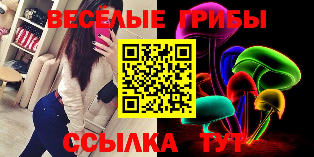 купить наркотик  Вход с VPN  Саянск  Галлюциногенные грибы Psilocybe 